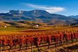 Leinwandbild Motiv Autumn in La Rioja: Vinery with San Lorenzo Mountain in the Background - 3:2 AR: Generative AI