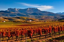 Autumn In La Rioja: Vinery With San Lorenzo Mountain In The Background - 3:2 AR: Generative AI