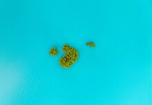 Aerial View Of A Small Green Island In A Blue Lake