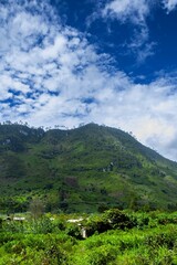 Sticker - The mountains in Guatemala, the area of Las Verapaces in Central America.