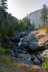 Poster - Tranquil body of water flowing down a grassy hillside, surrounded by lush foliage and trees