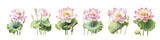 Set of Lotus flower watercolor collection of hand drawn, Lotus flower elegant watercolor illustration , Lotus flower isolated transparent background, PNG.