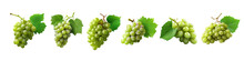 Set Of Fresh Green Grapes Cluster: Nature's Bounty Displayed In Realistic Detail ,grape Illustration Transparent Background, PNG	