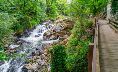 Tumwater Falls Park Path 2