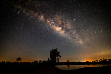 Wall Mural - milky way with stars,silhouette tree in africa with sunrise.dry tree silhouetted against a setting s