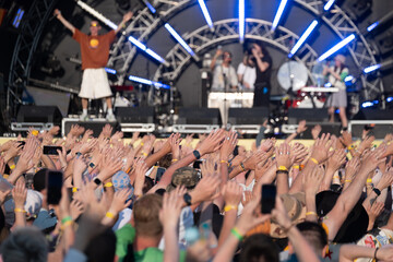 Wall Mural - Crowd of people waving hands for music band