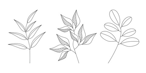 Wall Mural - Leaf line icon set vector. Hand drawn leaves branch contour silhouette isolated. Floral drawing, graphic design, print, branding, card, poster, logo, sign, symbol. Minimal botanical illustration.