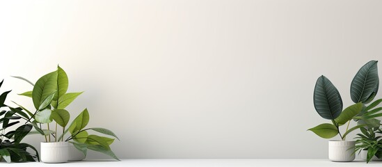 Aufkleber - A simple botanical background with space for text. It is suitable for showcasing new products, promoting