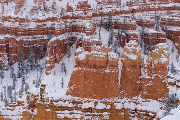 Poster - Scenic view of Bryce Canyon National Park in winter