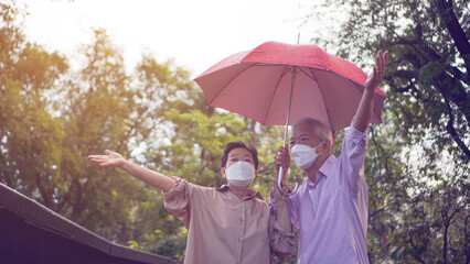 Wall Mural - Asian senior elder couple walking in raining park share umbrella fun romantic love lifestyle