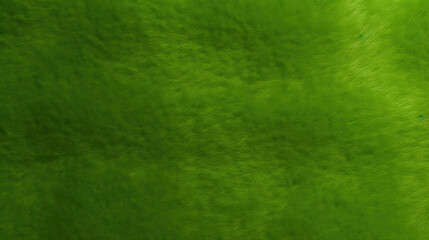 Vibrant Green Felt Background