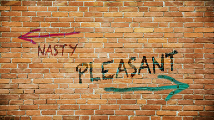 Canvas Print - Street Sign Pleasant versus Nasty