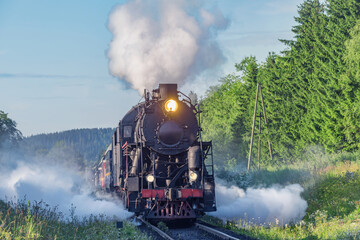 Wall Mural - Retro steam train moves in the forest.