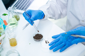 Concept of analysis of soil sample in botany laboratory. Biology technician taking material for investigation. Examining and developing. Glass container with soil. Agriculture and chemistry