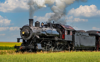 Canvas Print - A View of an Antique Steam Passenger Train Approaching, Traveling Thru Rural Countryside, Blowing Smoke, on a Sunny Spring Day