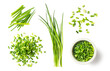 fresh green herbs: chives, collection of isolated herbal food design element, bunch of whole chive blades, chopped sprinkled ones, loose, in a heap and a small bowl, healthy nutrition or garden set