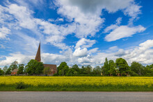 Beautiful View Of Older Church Building Between Green Trees Behind Yellow Rapeseed Field On Blue Sky With Puffy White Clouds Background. Sweden.