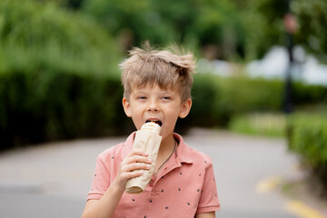 Portrait of boy eating hot dog on street..