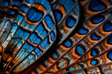 Generative AI Illustrations Of Colorful Plumage Feathers With Light Blue And Brown Pattern Arranged In Beautiful Array
