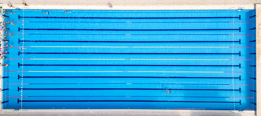 Wall Mural - From above, you can see a group of swimmers training in a sports pool.