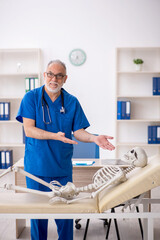 Wall Mural - Old male doctor examining skeleton in the clinic