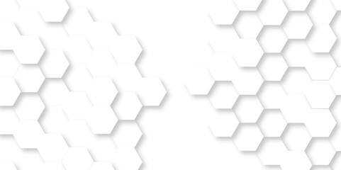 Abstract background with hexagon Background with white and black lines 3d Hexagonal structure futuristic white background and Embossed Hexagon , honeycomb white Background ,light and shadow ,Vector.