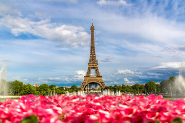 Wall Mural - Eiffel Tower and fountains of Trocadero in Paris, France