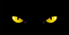 Black Panther Eyes Background, Wild Cat Animal Face In Night, Vector Yellow Eyeballs In Dark. Black Panther Eyes Glow Look In Macro Closeup, Wildlife Cheetah, Puma Or Cheetah Yellow Evil Eyes On Black