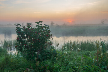  morning mist over the river