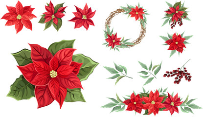 Wall Mural - Vector Christmas Set. Red poinsettia, green leaves, berries, wreath of branches. Christmas flowers compositions on white background . Vector illustration