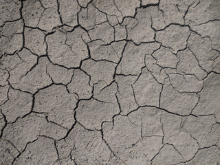 Aufkleber - Dry cracked earth. Gray background with cracks.