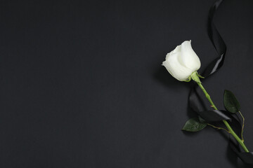 Wall Mural - Beautiful rose and ribbon on black background, top view with space for text. Funeral symbols