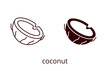 Coconut icon, line editable stroke and silhouette