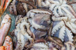 Auf dem Fischmarkt in Kerkyra auf Korfu
