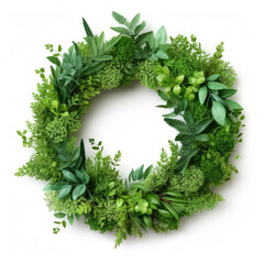 wreath of their green branches and plant stems with leaves isolated on white background