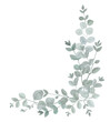 © johnesorge - Eukalyptus Illustration watercolor Clipart Floral Blume Hochzeit Flower handmadecards kartengestaltung