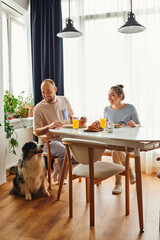 Wall Mural - Positive man petting border collie dog while having breakfast with girlfriend in housewear at home