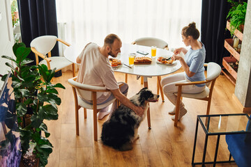 Wall Mural - High angle view of smiling man petting border collie while having breakfast with girlfriend at home