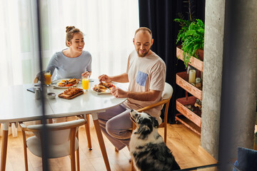 Wall Mural - Positive couple in homewear having breakfast with orange juice near border collie dog at home