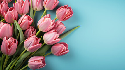 Wall Mural - Beautiful tulip bouquet on a colorful background