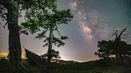 Poster - hammock hanged on the trees under the sky full of stars at night. - timelapse