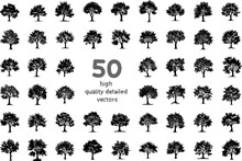 Set Of Silhouettes Of Deciduous Trees Vector Images On A White Background