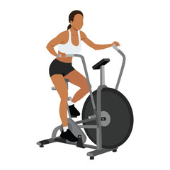 Wall Mural - Woman doing air bike training or assault bike cardio exercise. Flat vector illustration isolated on white background