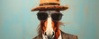 Funny or cool horse wearing sunglasses in studio with a vivid colorful background