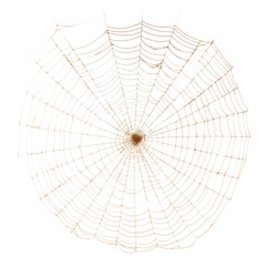 spider web isolated on transparent background cutout