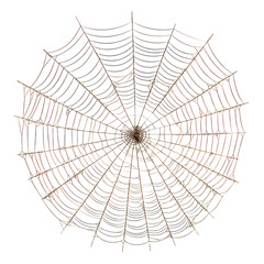 spider web isolated on transparent background cutout