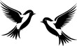 © CreativeOasis - Birds - High Quality Vector Logo - Vector illustration ideal for T-shirt graphic