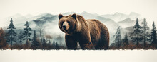 Wild Brown Bear Design For T Shirt Printing. On White Background. Wide Banner