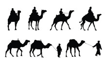 Camel Illustration Set On White Background, Vector, Isolated. Vector Illustration
