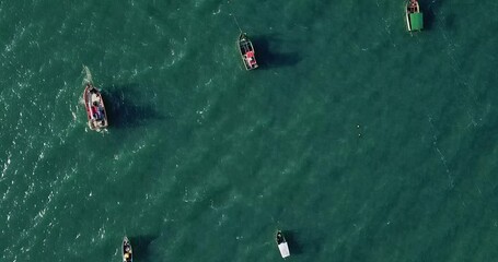 Wall Mural - Aerial Images of Praia dos Ingleses in Florianópolis Brazil
